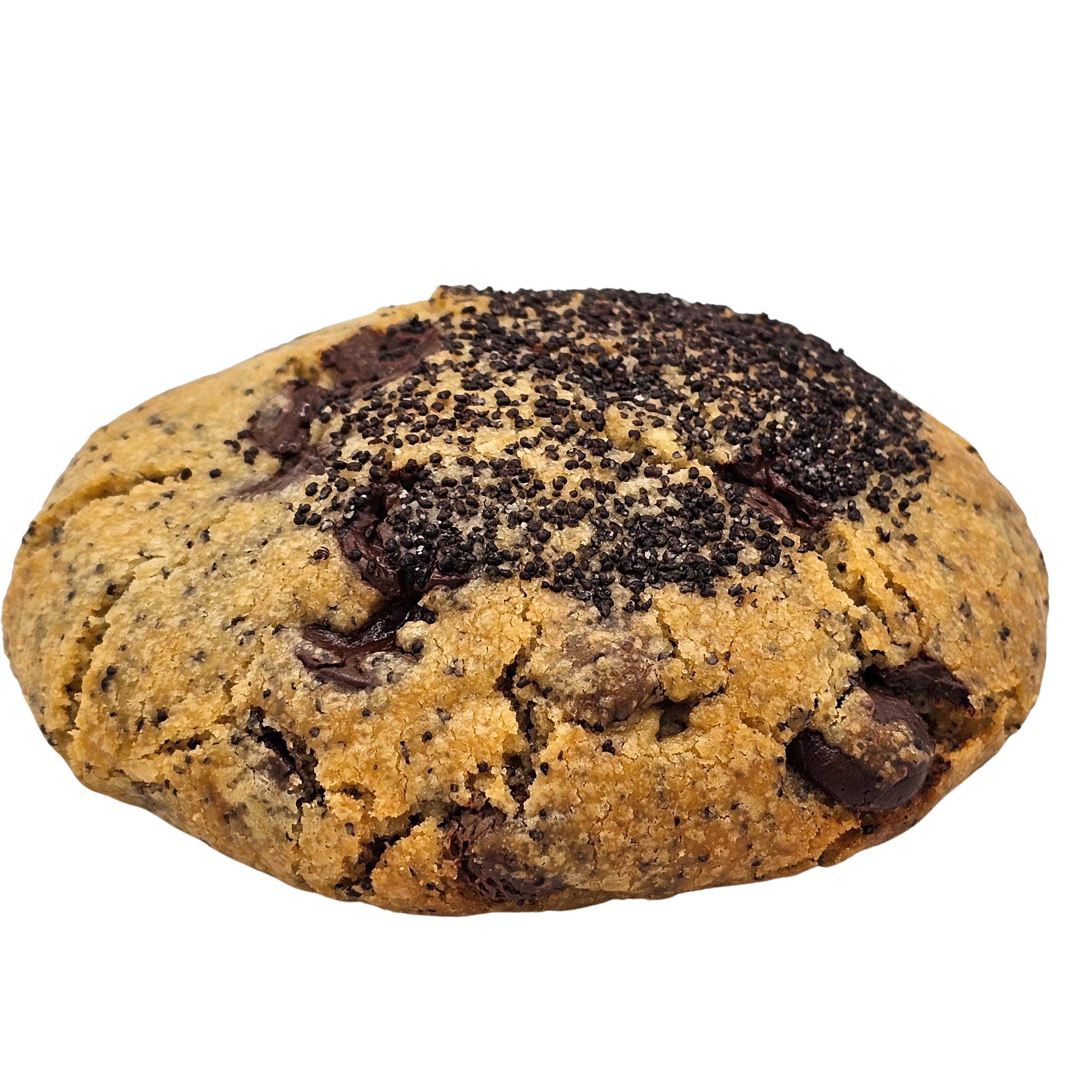 Mohn Cookie